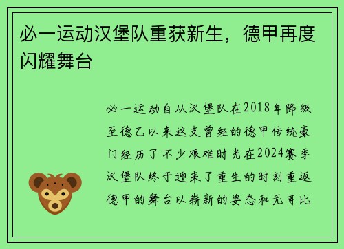 必一运动汉堡队重获新生，德甲再度闪耀舞台